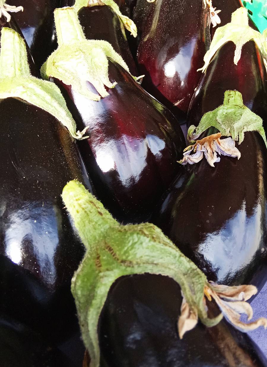 aubergines