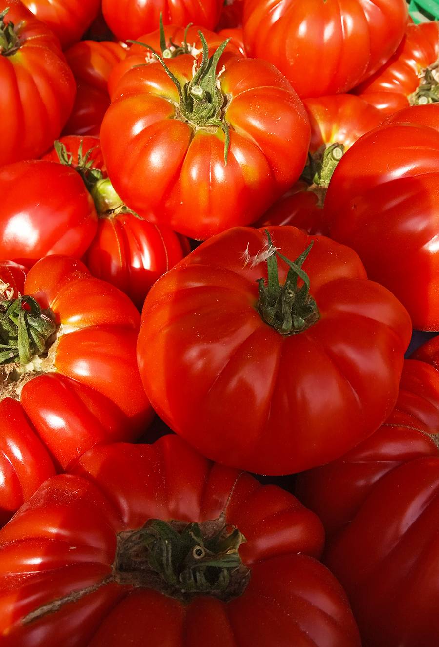 Producteur fruits et légumes à Noirmoutier-en-l'Île