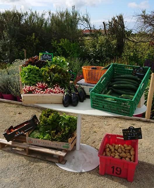 stand fruits et légumes