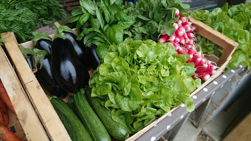 Producteur de légumes à Noirmoutier-en-l'Île